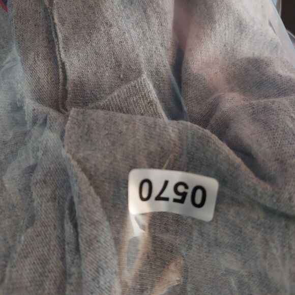 Daytona Beach Bike Week 2019 “78th Annual” Eagle Graphic Cropped T‑Shirt Gray L - Picture 10 of 10